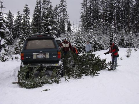 1991 Ford Bronco - People load Christmas trees onto a Toyota 4Runner in a snowy forest.