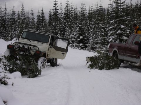 1991 Ford Bronco - Two vehicles and a dog in a snowy forest with Christmas trees.