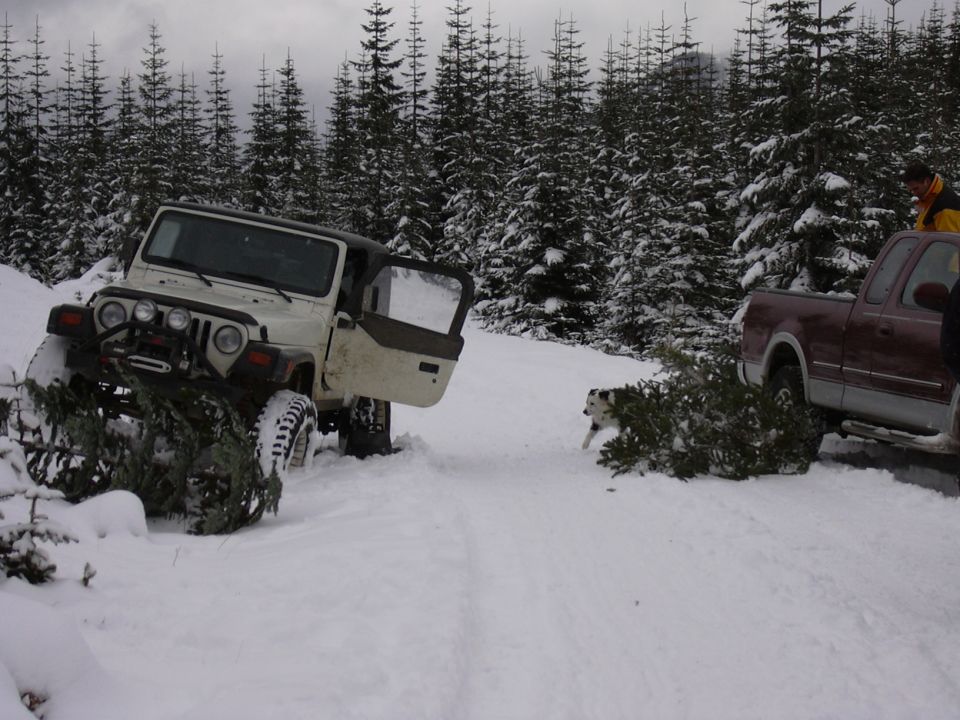 White Jeep Wrangler stuck in snow, door open. A dog runs near a Christmas tree and a red pickup truck