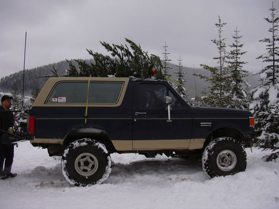 Dark blue and tan Ford Bronco with a Christmas tree on the roof, parked in the snow