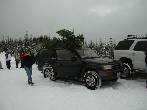 1991 Ford Bronco - A group of people stand in the snow next to SUVs, one of which is carrying a Christmas tree.