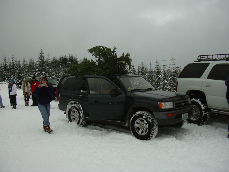 Dark green SUV with a Christmas tree on its roof, parked in the snow next to a white SUV