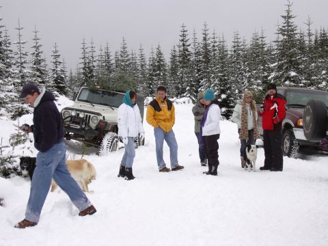 1991 Ford Bronco - People gather in a snowy forest with two vehicles, one carrying a Christmas tree.