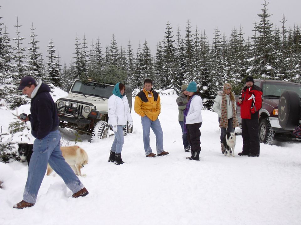 Group of people and two vehicles in a snowy forest with pine trees, one vehicle has a Christmas tree on top