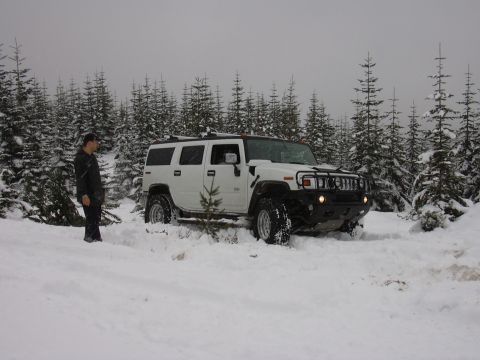 1991 Ford Bronco - A white Hummer H2 SUV navigates through a snowy forest during the day.