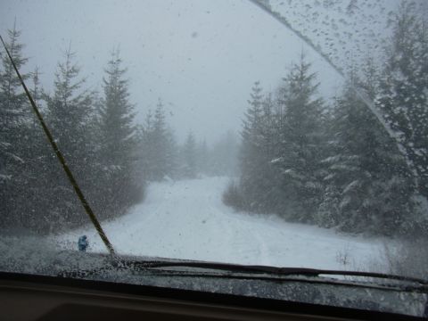 1991 Ford Bronco - Driving through a snow-covered forest road with trees on either side.