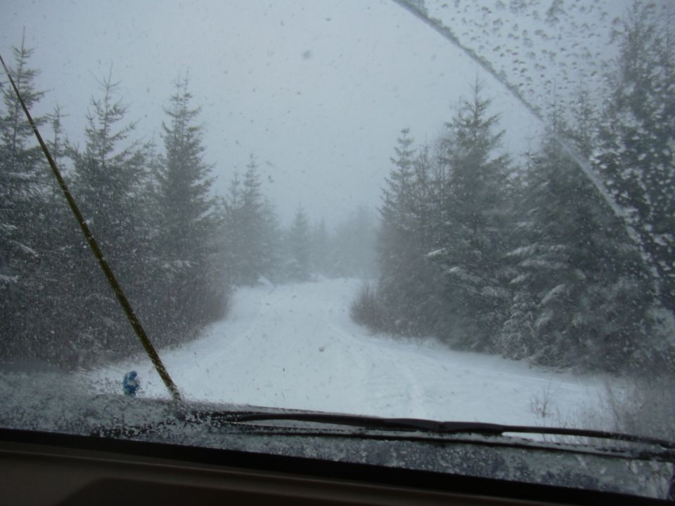 view from inside car looking out at snowy road through trees