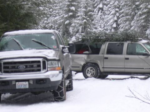 1991 Ford Bronco - Two trucks are parked in a snowy forest, one with tire chains and the other carrying a Christmas tree.