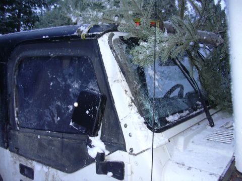 1991 Ford Bronco - A white SUV is partially covered in snow with Christmas tree branches loaded on its roof.