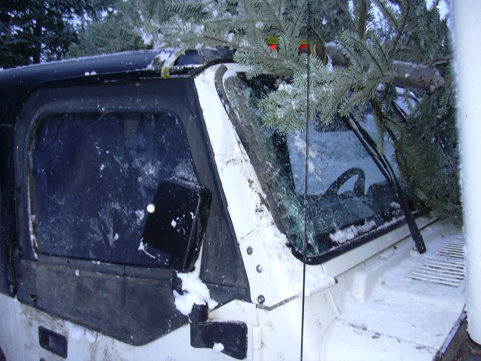 White SUV with Christmas tree branches on roof and snow