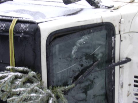 1991 Ford Bronco - Snow covers the cab of a truck, with a Christmas tree tied to the side near the window.