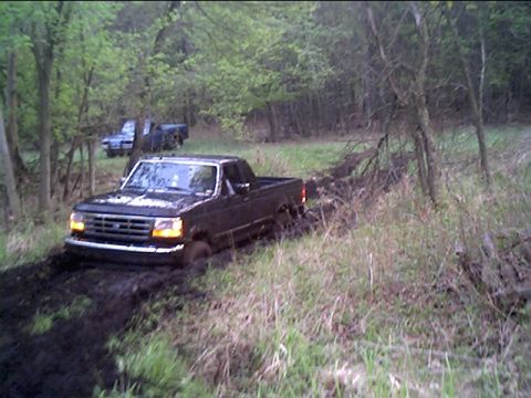 1995 Ford F-150 photo