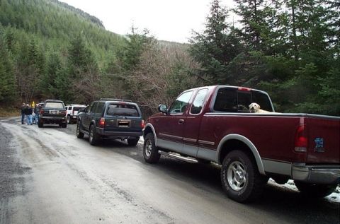 1995 Ford Bronco - 12 rigs total including 4 Big Broncos, 3 Toyota Land Cruisers, 1 Jeep, 1 Hummer H2 1 new Dodge pickup, and 1 Ford F150.