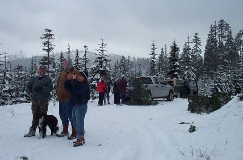 1995 Ford Bronco - People gather in a snow-covered forest with their vehicles, one of which is loaded with a Christmas tree.