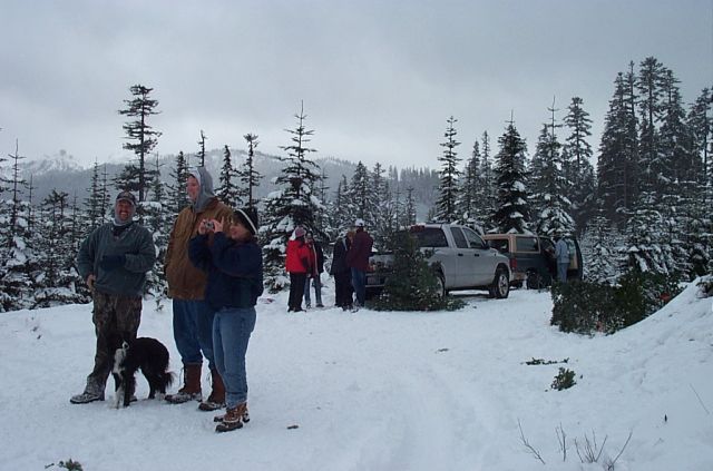 Group of people and two SUVs in a snowy forest with trees, one SUV has a Christmas tree tied to it