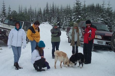1995 Ford Bronco - A group of people and their dogs are gathered in a snowy, wooded area with two vehicles visible.