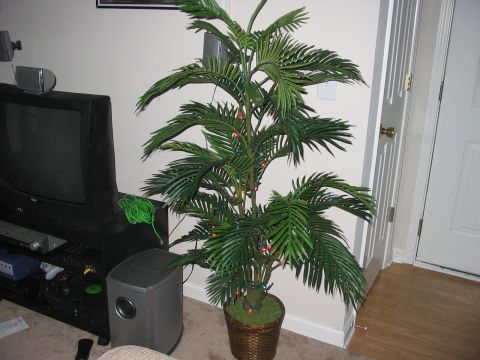 1988 Ford Bronco - An artificial palm tree decorated with small lights stands indoors next to a television and audio equipment.