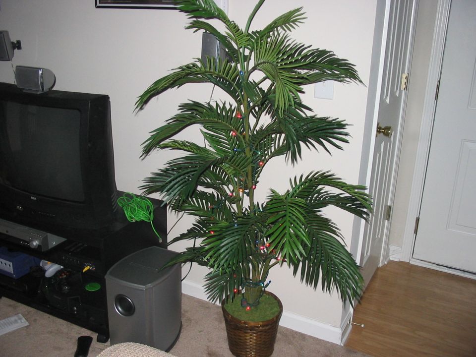 Indoor artificial palm tree with small colorful lights, next to a TV and speaker