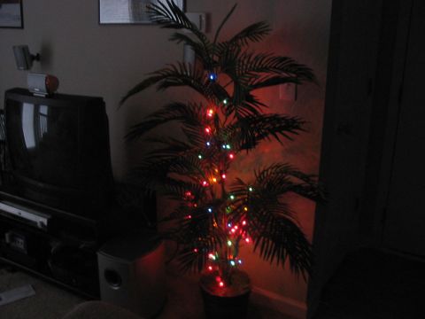 1988 Ford Bronco - An indoor palm tree is decorated with colorful Christmas lights, set against a dimly lit room with a television.