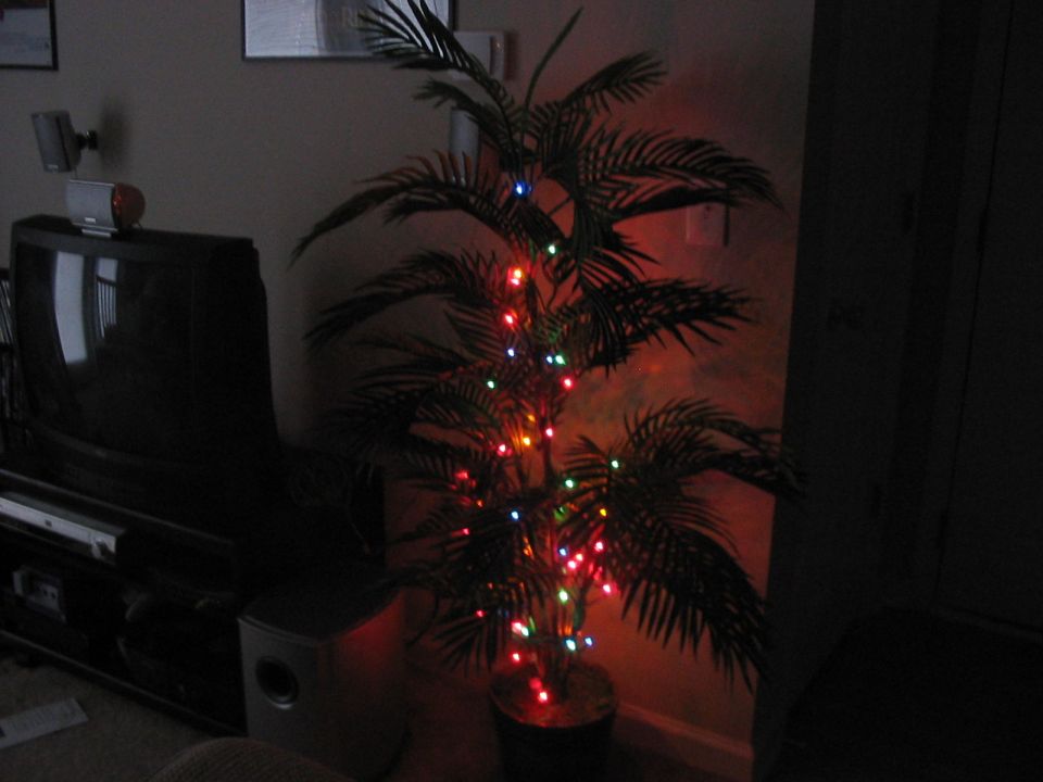 Indoor palm tree with colorful Christmas lights, next to a dark television and entertainment center