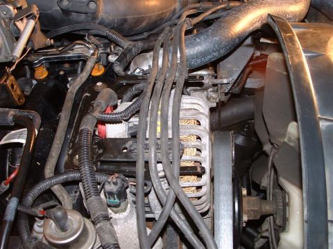 1996 Ford Crown Victoria - Close-up view of an engine bay, highlighting the alternator, spark plug wires, and various hoses and connectors.