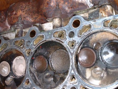 1996 Ford Crown Victoria - Close-up view of an engine cylinder head, showing the valves and gasket in detail.