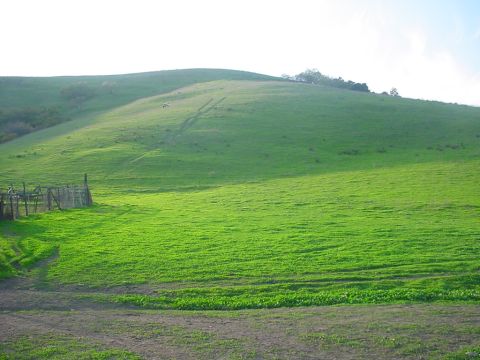 1988 Ford Bronco - A wide shot of a green, rolling hill under a bright sky, with a rustic fence in the foreground.
