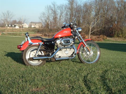 1995 Mercury Grand Marquis - A Harley-Davidson Sportster motorcycle is parked on a grassy field with houses and trees in the distance.