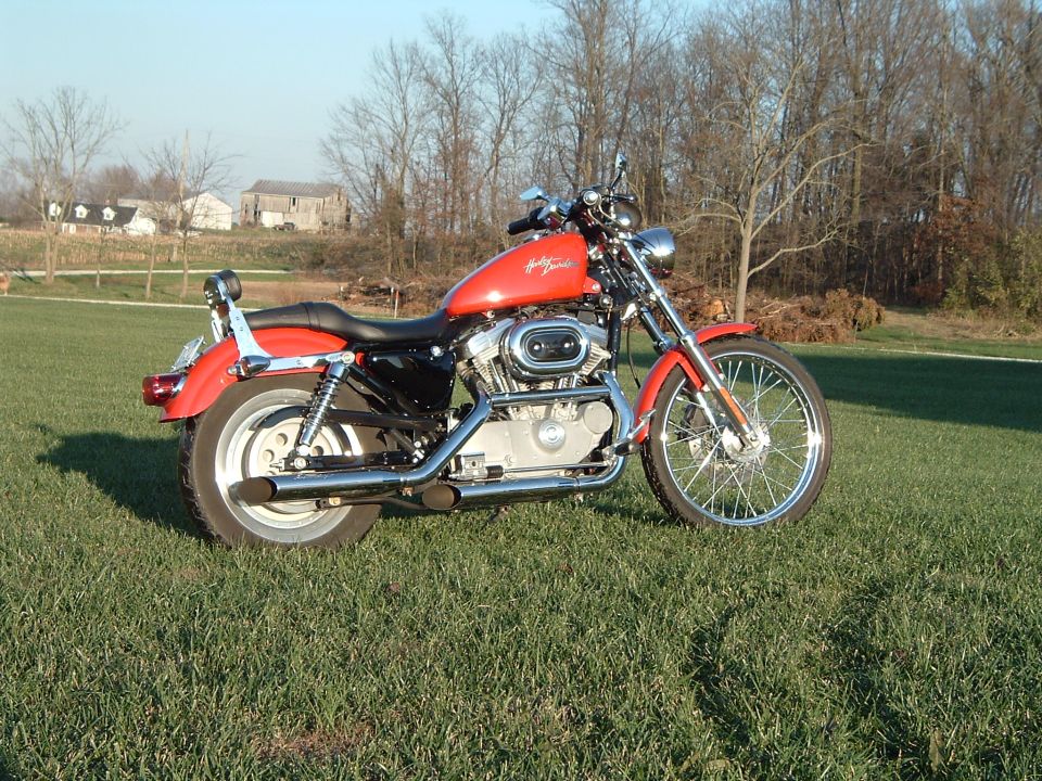 Orange Harley-Davidson Sportster motorcycle parked on grass with trees and houses in background