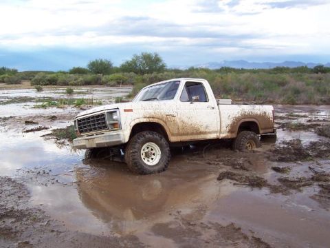 1981 Ford F-150 - Other side
