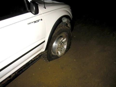 1999 Toyota Tacoma