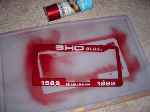 1998 Ford Taurus - A red license plate frame reads "SHO CLUB." and "1989 shooclub.com 1999", suggesting it's for a 1989-1999 SHO model.