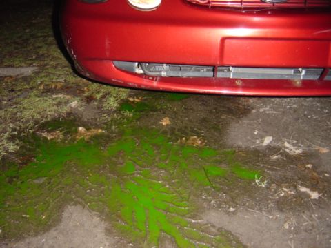 1998 Ford Taurus - A red 1998 Ford Taurus shows a green liquid spill beneath its front bumper.