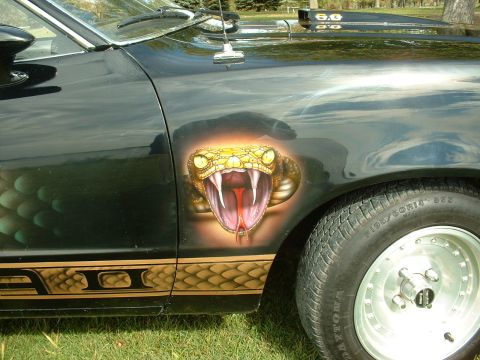 1978 Ford Mustang II - A black car displays custom airbrush art of a striking cobra on its fender.