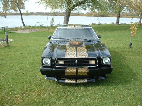 1978 Ford Mustang II - This 1978 Ford Mustang II is parked on a grassy area near a body of water.