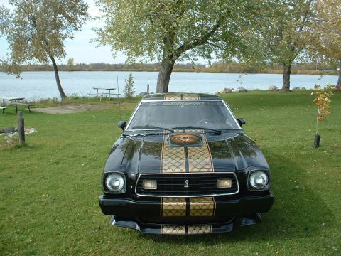 1978 Ford Mustang II - A black 1978 Ford Mustang II with gold racing stripes is parked on a grassy area near a body of water.