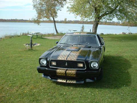 1978 Ford Mustang II - This 1978 Ford Mustang II Cobra II features distinctive gold racing stripes and is parked in a scenic lakeside setting.