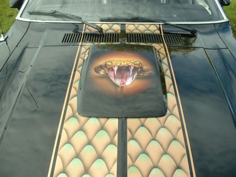 1978 Ford Mustang II - Custom airbrush art of a snake's head adorns the hood of a car, complete with racing stripes.