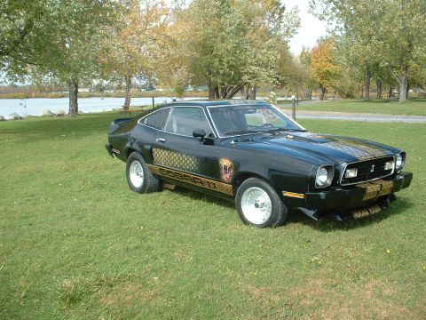 1978 Ford Mustang II - This 1978 Ford Mustang II Cobra II features distinctive snake graphics along its side.