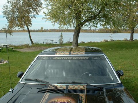 1978 Ford Mustang II - A black car with racing stripes and a Ford Motorsport banner is parked near a body of water on a sunny day.