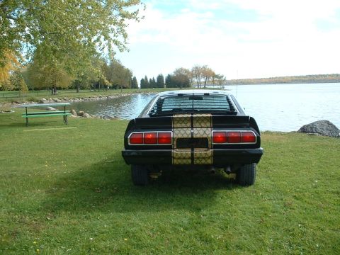 1978 Ford Mustang II - Rear view of a black car with distinctive gold stripes parked near a body of water.