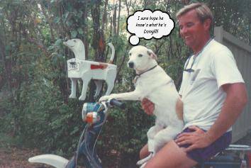 1992 Suzuki XL - A man and his dog are pictured on a scooter, with a unique dog-shaped mailbox mounted to the front.