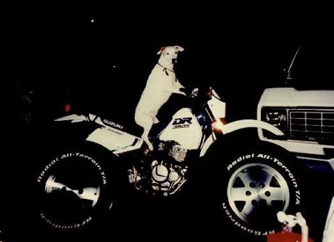 1992 Suzuki XL photo