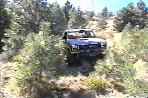 1984 Ford Bronco - through the trees