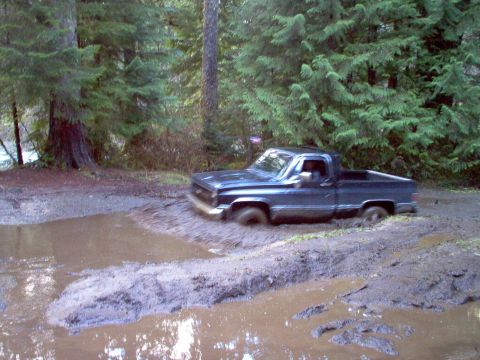 1979 Ford Bronco - Dad meet mud, mud meet dad.