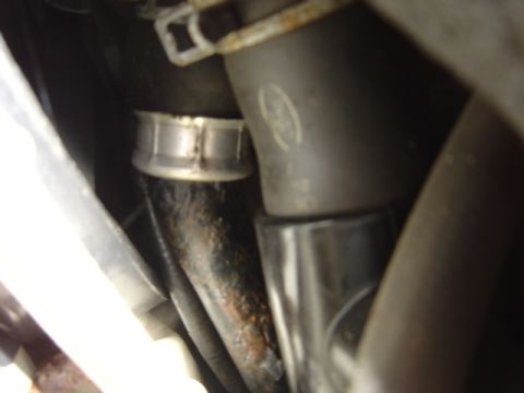 1998 Ford Taurus - Detail of a hose clamp, likely from an engine compartment.