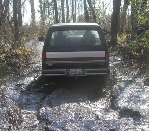 1988 Ford Bronco - Rear view of a 1988 Ford Bronco navigating a muddy trail through trees.