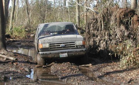 1988 Ford Bronco - This Ford truck is navigating a muddy trail with a fallen tree nearby.