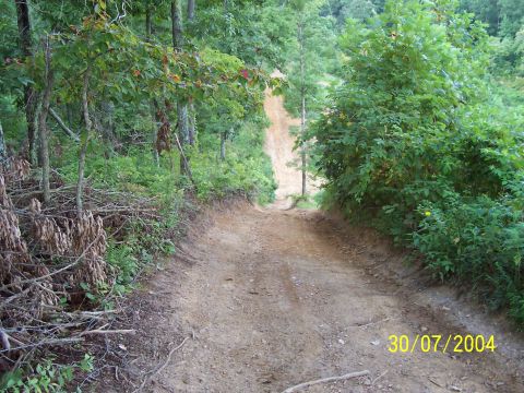 1979 Ford F-150 - A dirt road winds through a forest, with the date 30/07/2004 visible in the lower right corner.