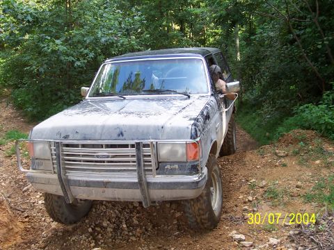 1979 Ford F-150 - Ford Bronco navigating a wooded trail on a sunny day.